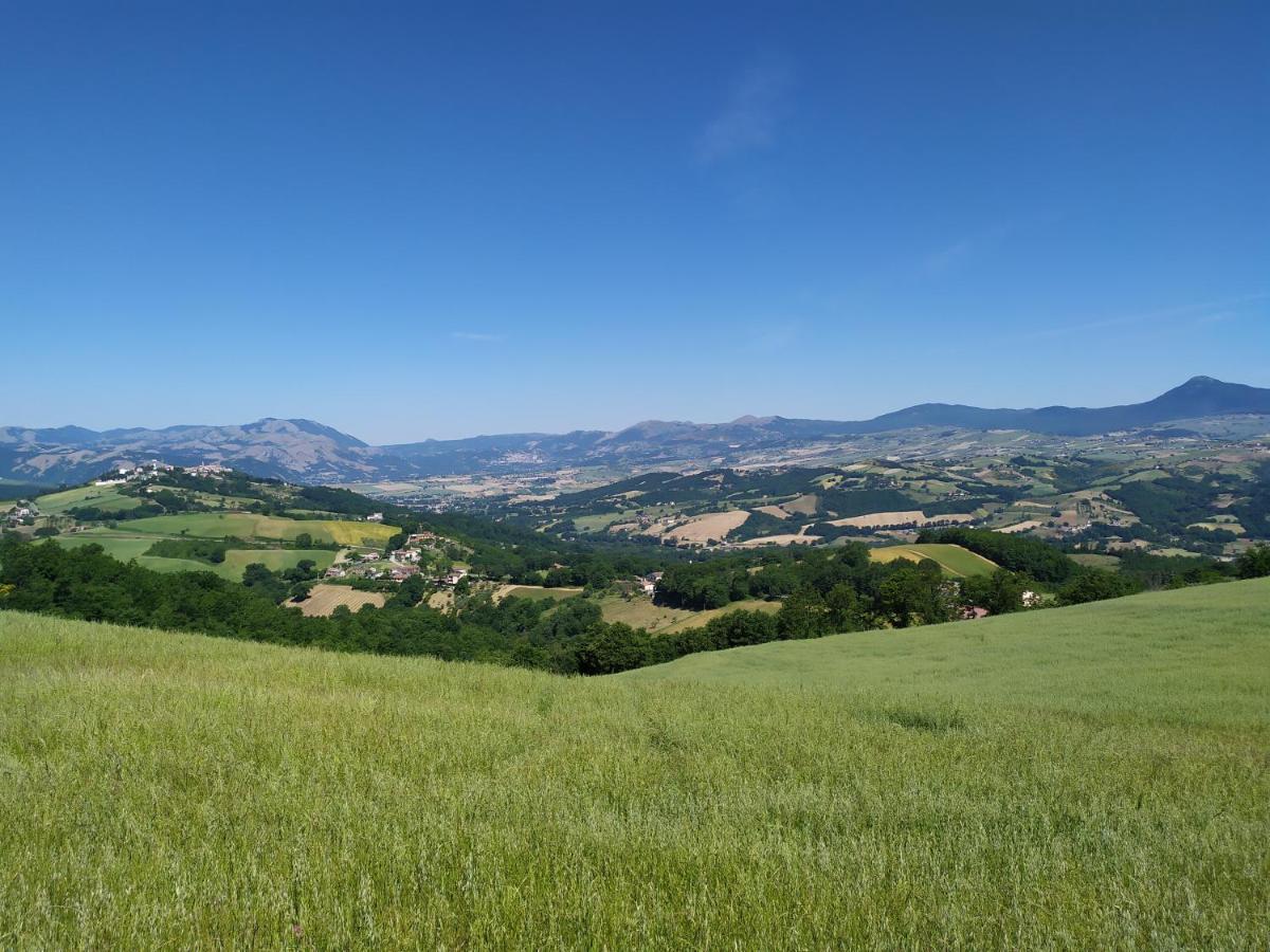 All Inbasilicata Bed & Breakfast Baragiano Exteriör bild